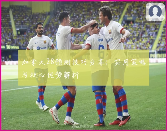 加拿大28预测技巧分享：实用策略与核心优势解析