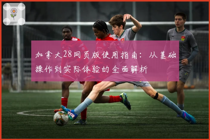 加拿大28网页版使用指南：从基础操作到实际体验的全面解析