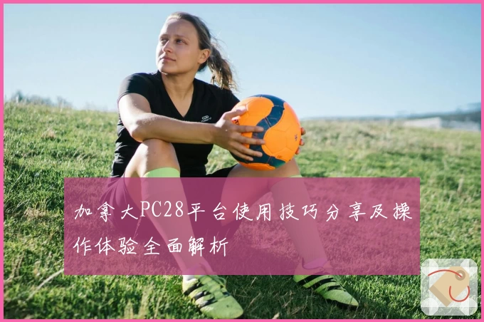 加拿大PC28平台使用技巧分享及操作体验全面解析
