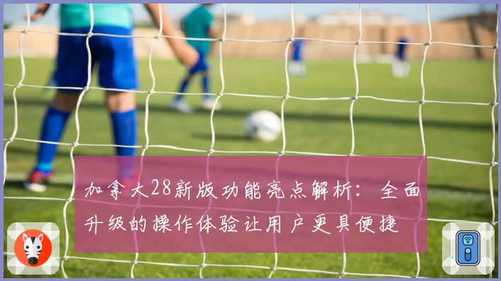 加拿大28新版功能亮点解析：全面升级的操作体验让用户更具便捷