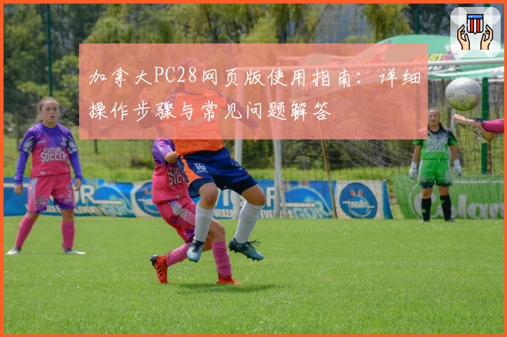 加拿大PC28网页版使用指南：详细操作步骤与常见问题解答