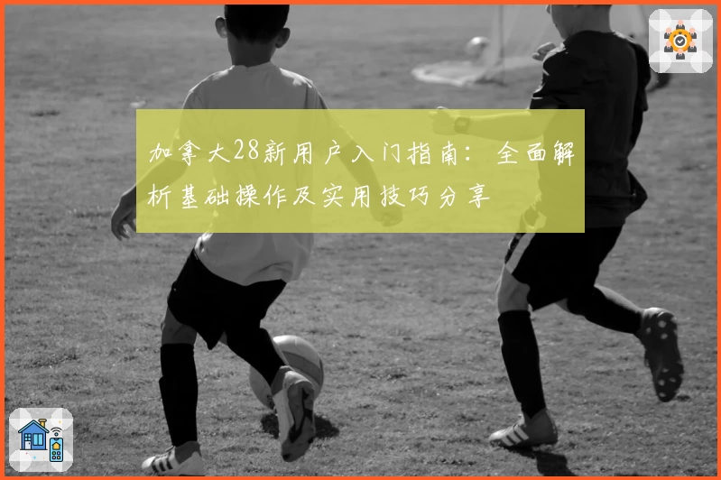 加拿大28新用户入门指南：全面解析基础操作及实用技巧分享