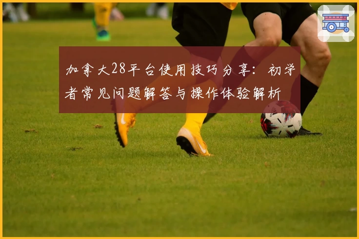 加拿大28平台使用技巧分享:初学者常见问题解答与操作体验解析