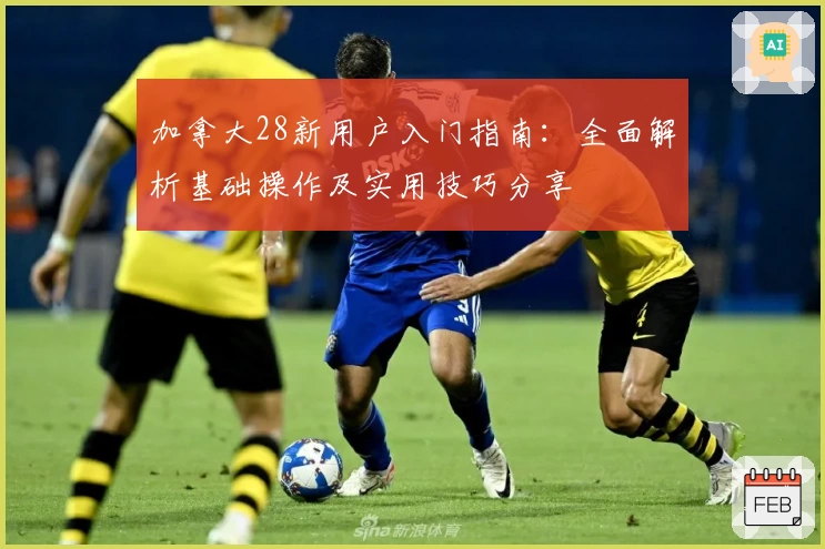 加拿大28新用户入门指南:全面解析基础操作及实用技巧分享