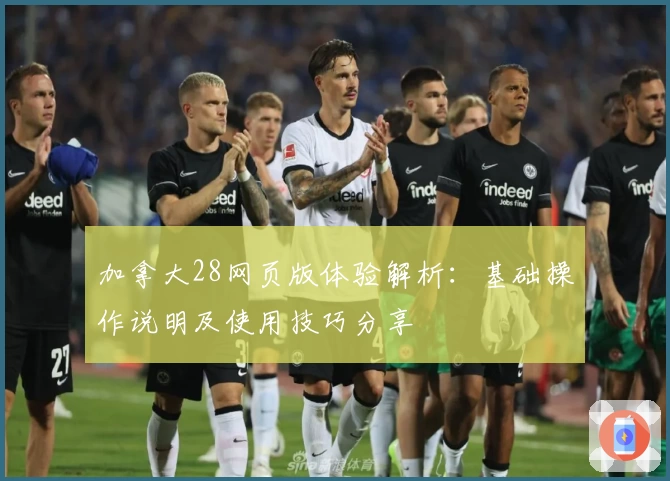 加拿大28网页版体验解析:基础操作说明及使用技巧分享