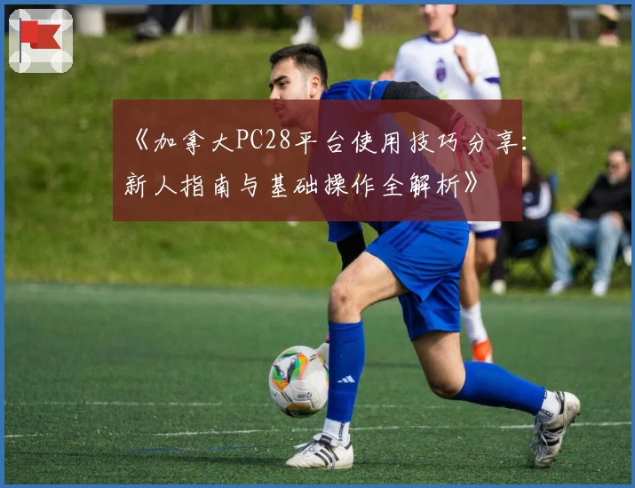 《加拿大PC28平台使用技巧分享:新人指南与基础操作全解析》