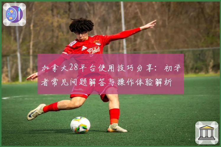 加拿大28平台使用技巧分享：初学者常见问题解答与操作体验解析