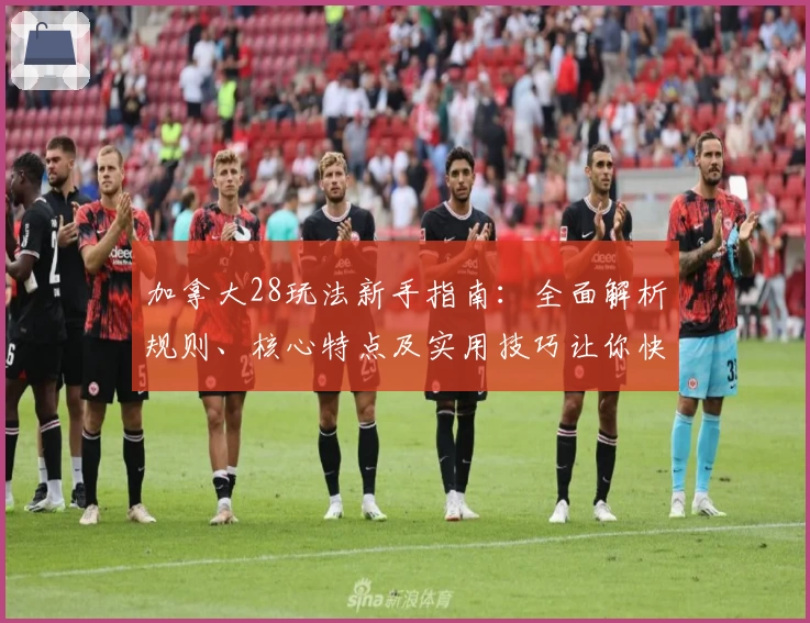 加拿大28玩法新手指南：全面解析规则、核心特点及实用技巧让你快速上手